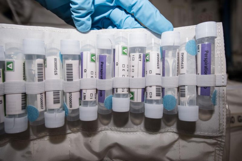 A collection of microbial samples swabbed on the International Space Station ready to be analyzed. Photo by NASA
