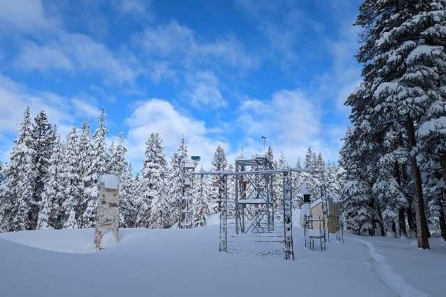 The University of California-Berkeley's Central Sierra Snow Lab on Friday reported 16.9 inches of snow over the past day. Photo by UC Berkeley Central Sierra Snow Lab/Twitter