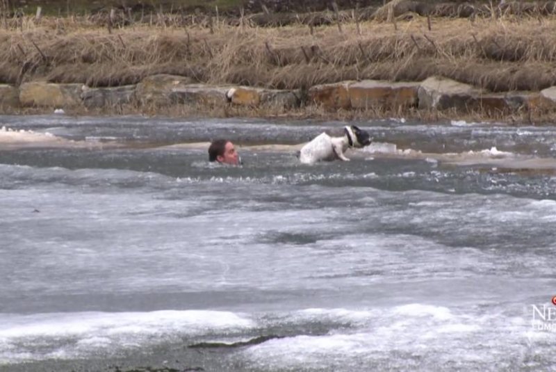 An Alberta man jumped into a freezing pond at a local park to rescue his dog after the canine fell through the thin ice. Sceeenshot: CTV Edmonton/Facebook