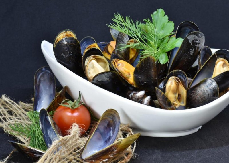 Study: Microplastics found in mussels fished from Southern Ocean