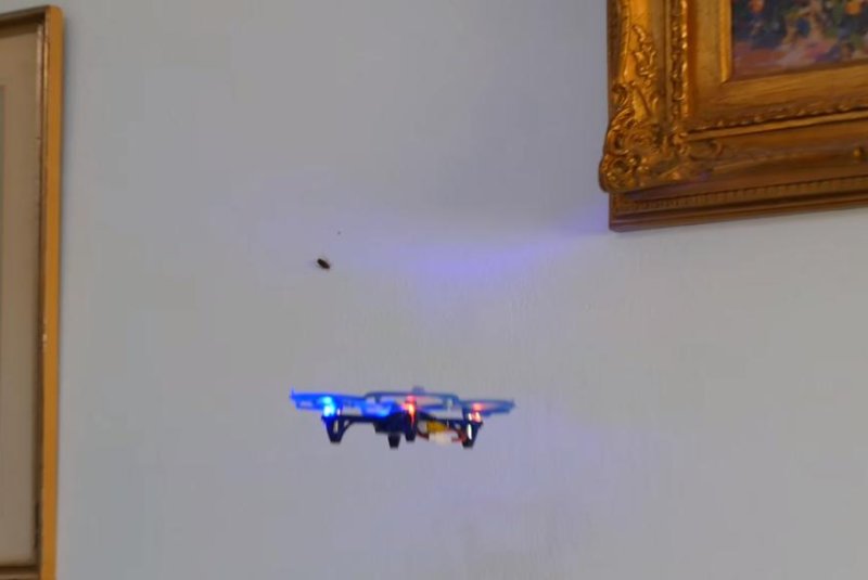 Legend has it that cockroaches can survive nuclear explosions, but can this one survive a quadcopter collision? Screenshot: Newsflare