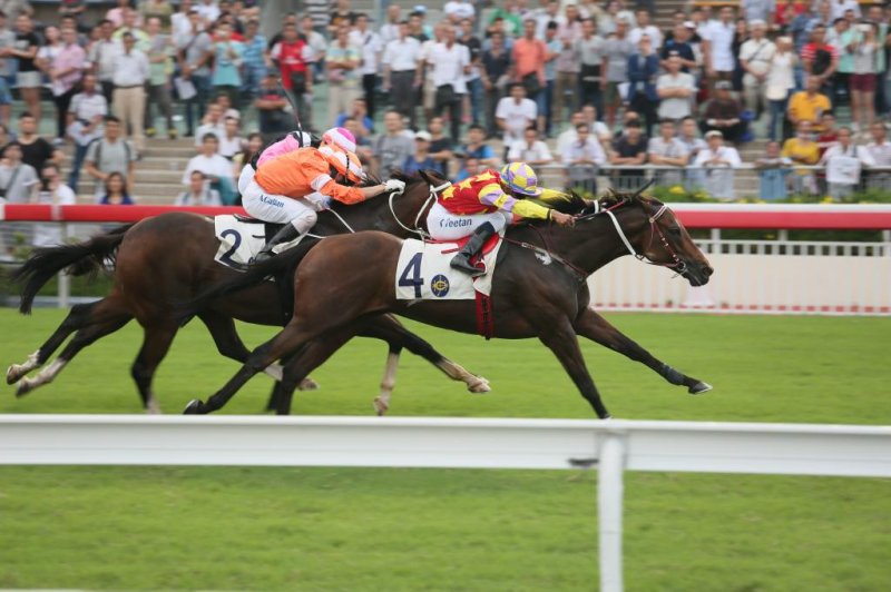 UPI Horse Racing Roundup