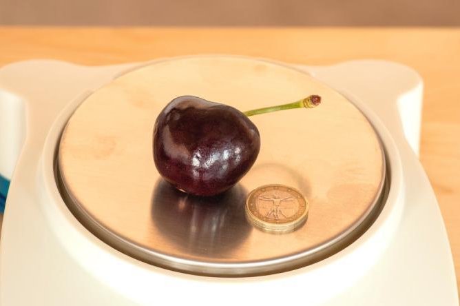A cherry weighing in at .93 ounces was dubbed the world's heaviest cherry by Guinness World Records. Photo courtesy of the University of Bologna/Salvi Vivai