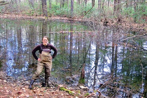 Small ponds give off surprising amount of CO2 and CH4