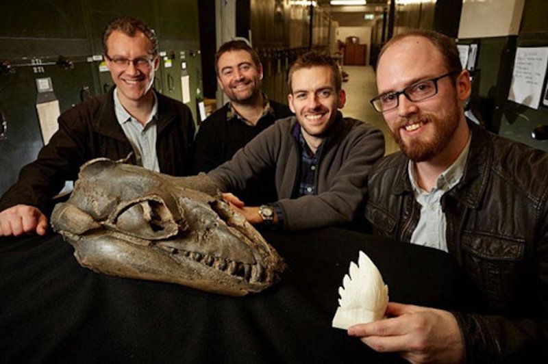 A team of Monash University paleontologists stand next to an ancient whale skull and the a 3D model of the whale's surprisingly sharp teeth. Photo by Ben Healley/Museums Victoria.