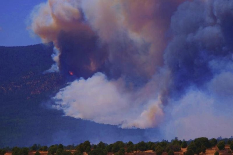 Forest Service says errors in controlled burn sparked New Mexico's largest fire