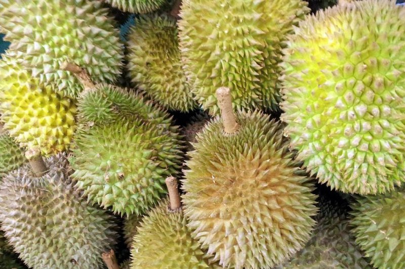 A post office in Germany was evacuated when workers detected a suspicious smell coming from a package that turned out to be full of pungent durian fruit. <a href="https://pixabay.com/photos/singapore-durian-fruit-juicy-food-314915/">Photo by PublicDomainPictures/Pixabay</a>