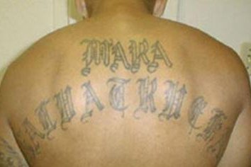 A Mara Salvatrucha gang member has the MS-13 gang's name tattooed on his back. File photo by <a class="tpstyle" href="https://en.wikipedia.org/wiki/MS-13#/media/File:Marasalvatrucha13.png">Wikimedia Commons/FBI</a>