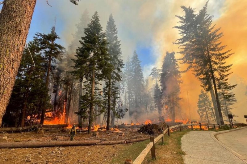 Report: Yosemite National Park fire now 79% contained