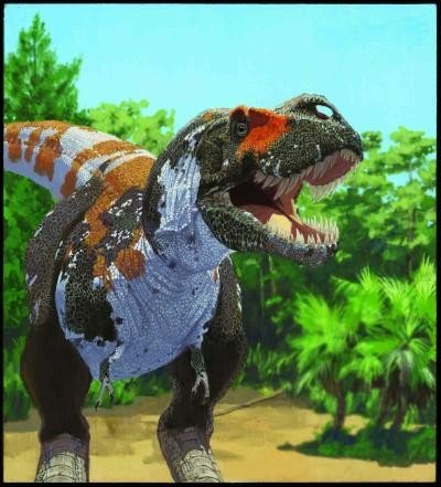 Tyrannosaurus rex, shown in this artistic illustration, is part of the carnivorous groups of dinosaurs that researchers suggest maintained a stable level of biodiversity leading up to the mass extinction at the end of the Cretaceous. Credit: AMNH/J. Brougham