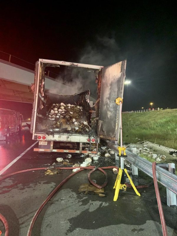 Truck hauling 10,000 frozen turkeys catches fire on Florida highway