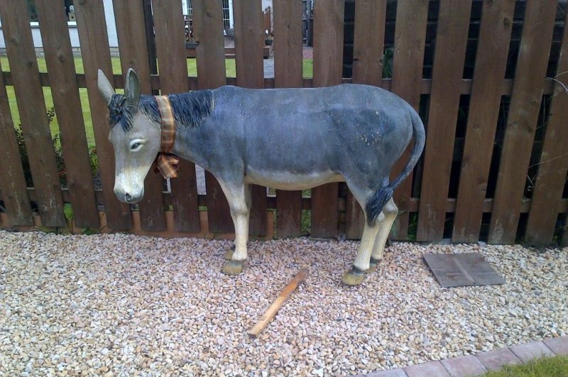 Scottish SPCA: Reported distressed donkey was a fiberglass fake