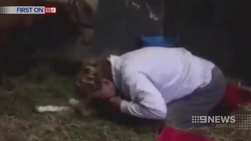 Suzanne Hall gives CPR breaths to an unresponsive foal at a rescue in Australia. Screenshot: 9News Gold Coast/Facebook