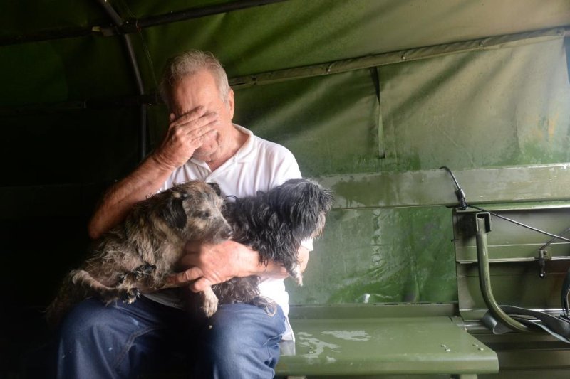 Hurricane Harvey's homeless pets being sent across U.S. for new homes