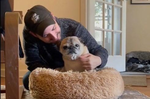 Noodle, an elderly pug that gained fame on Tiktok for his unusual morning routine, has died. He was 14. He is pictured on an apparent "bones day" in 2021. Photo courtesy of Jonathan Graziano/TikTok