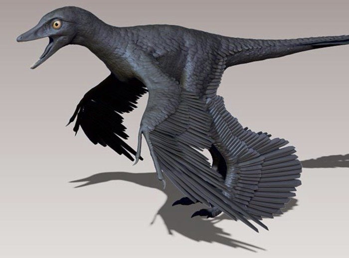 Study: Four-winged dino was aerial whiz