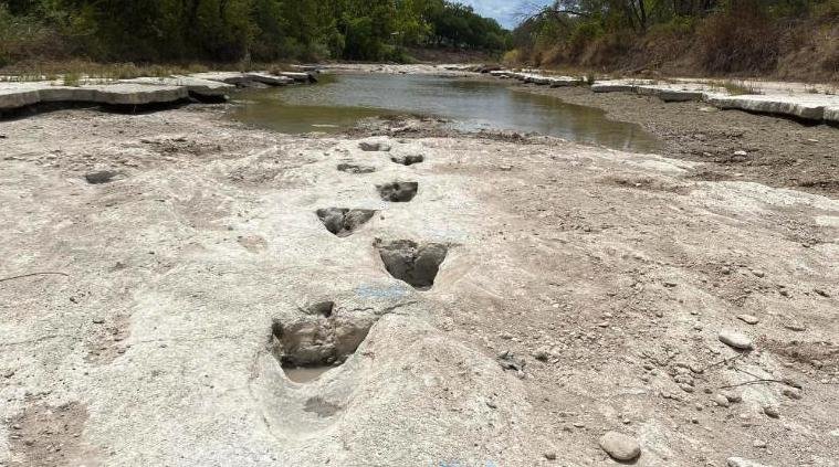 Massive dinosaur tracks dating back more than 113 million years are revealed in the riverbed of the drought-striken Paluxy River in Texas. Photo courtesy of Dinosaur Valley State Park.