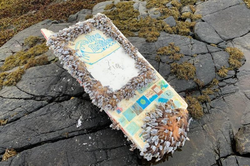 A mini boat launched by students at Rye Junior High School in New Hampshire was found 462 days later when it landed on an uninhabited island off the coast of Norway. Photo courtesy of Rye Junior High School/Facebook