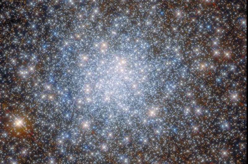 The Hubble Space Telescope captures a star-studded image inside a globular cluster in the constellation Sagittarius. Photo courtesy of R. Cohen/ESA/Hubble &amp; NASA.