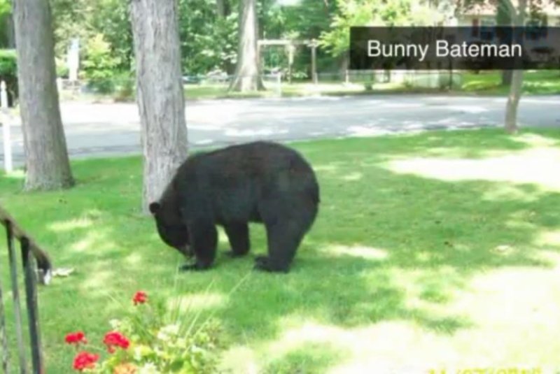 Police chase bear that broke into New Jersey home