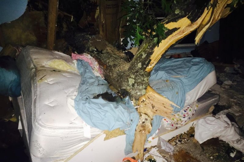 Woman pinned to her bed by 5,000-pound tree