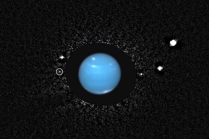 Hubble image of Neptune's innermost moon, Naiad, seen here for the first time since the Voyager 2 flyby of 1989. Naiad is the encircled point of light just to the left of Neptune. Credit: SETI Institute