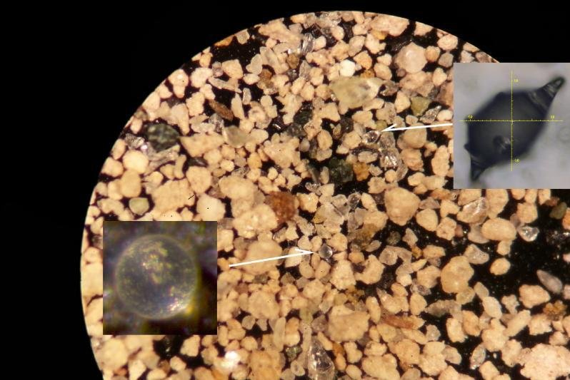 The research team found traced of Microtektites while searching for fossilized Foraminifera, suggesting a comet strike led to the Paleocene-Eocene Thermal Maximum. Photo by Rensselaer Polytechnic Institute