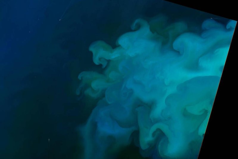 A phytoplankton bloom in the North Sea turns the water a milky blue-green. Photo NASA/Joshua Stevens/Mike Carlowicz
