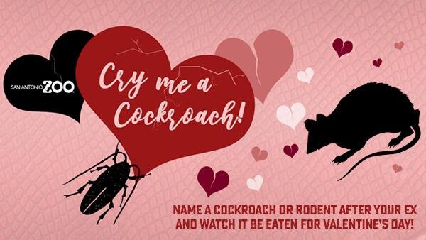 The San Antonio Zoo is offering a Valentine's Day promotion that will name roaches, rats or select vegetation after donors' ex-partners before they are fed to zoo animals. Photo courtesy of the San Antonio Zoo