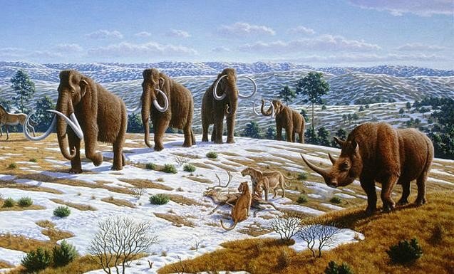 Mammoths (Image via Public Library of Science)