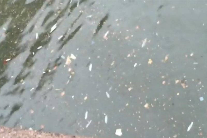 Used condoms float in the St. Lawrence River as Montreal dumps raw sewage into the water. Newsflare video screenshot