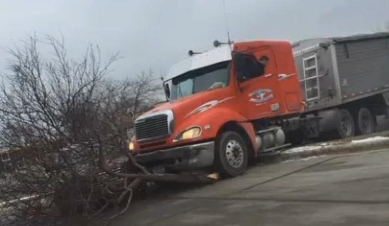 Witnesses found a labrador retriever in a semi-truck involved in a rolling collision with a tree at a Minnesota gas station. Mankato police say the car was parked and idling before being placed into gear, they are unsure if the dog caused the truck to begin moving. Screen capture/KEYC