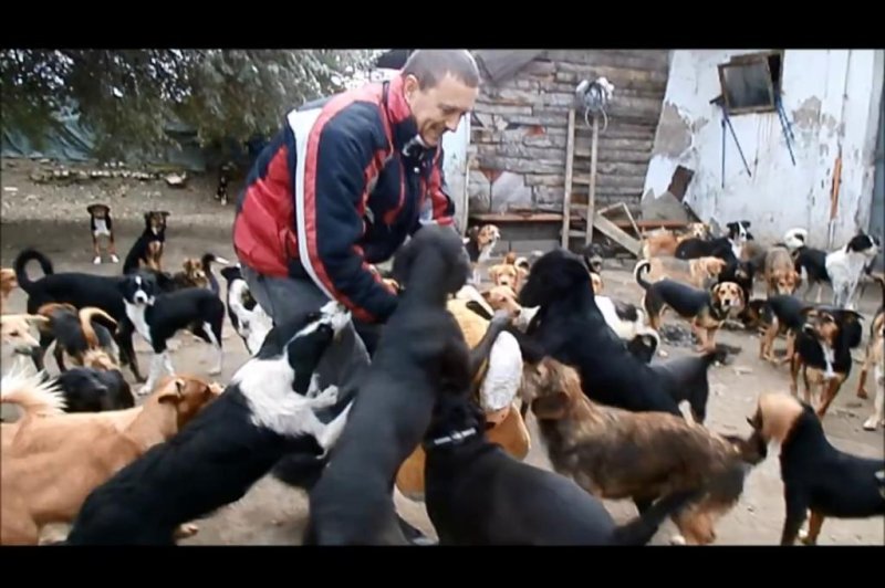 Serbian sanctuary home to 450 free-roaming dogs