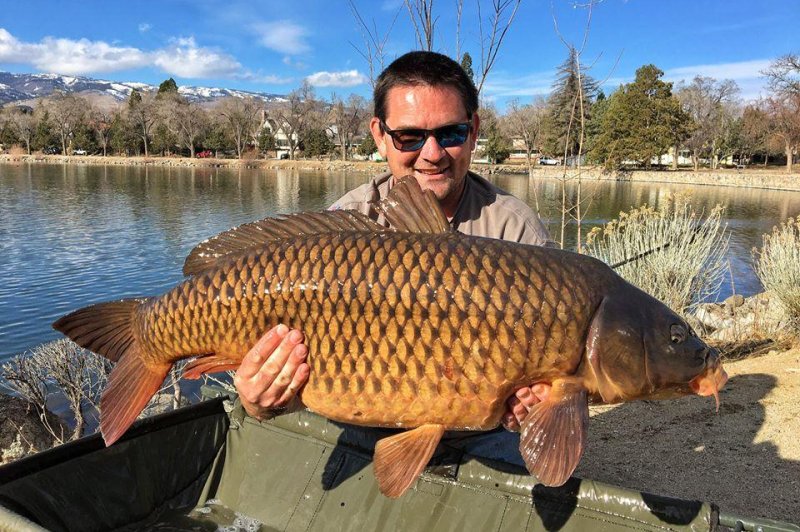 A Nevada man broke a state record when he reeled in a carp weighing 35 pounds, 3 ounces. Photo courtesy of the Nevada Department of Wildlife