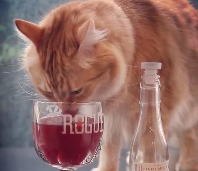 Cats can now enjoy a glass of wine with their owners thanks to Denver-based company Apollo Peak. The Non Alcoholic, beet based cat wine also contains cat nip and comes in two varieties, including "Pinot Meow" and "Moscato." <a class="tpstyle" href="https://www.facebook.com/apollopeak">Screen capture/Apollo Peak Cat Wine/Facebook</a>