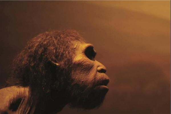 Neanderthals and humans interbred 100,000 years ago in Siberia. Photo by life_in_a_pixel/Shutterstock
