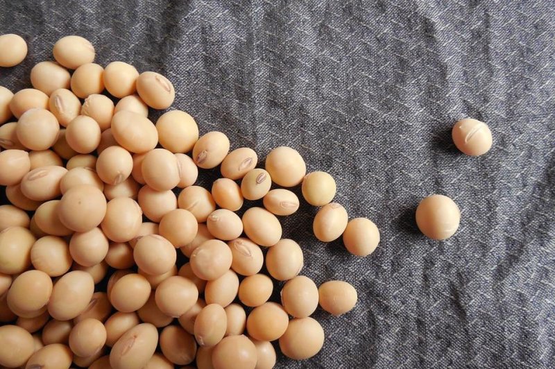 A new study from Tufts University has found that the consumption of soy may be linked to better outcomes in breast cancer patients. Photo by <a class="tpstyle" href="https://pixabay.com/en/soybeans-beans-soy-food-grains-182295/">Jing/PixaBay</a>