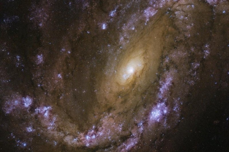 Hubble image showcases supernovae-filled spiral galaxy