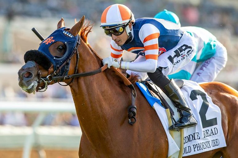 Gold Phoenix, shown winning the Eddie Read Stakes at Del Mar, is among the favorites for Sunday's John Henry Turf Championship at Santa Anita. Benoit Photography, courtesy of Del Mar Turf Club
