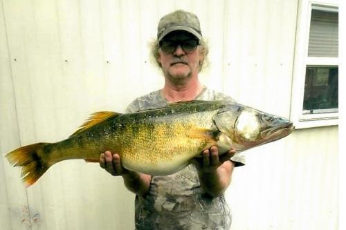 Pennsylvania anglers reel in record-breaking 18-pound walleye