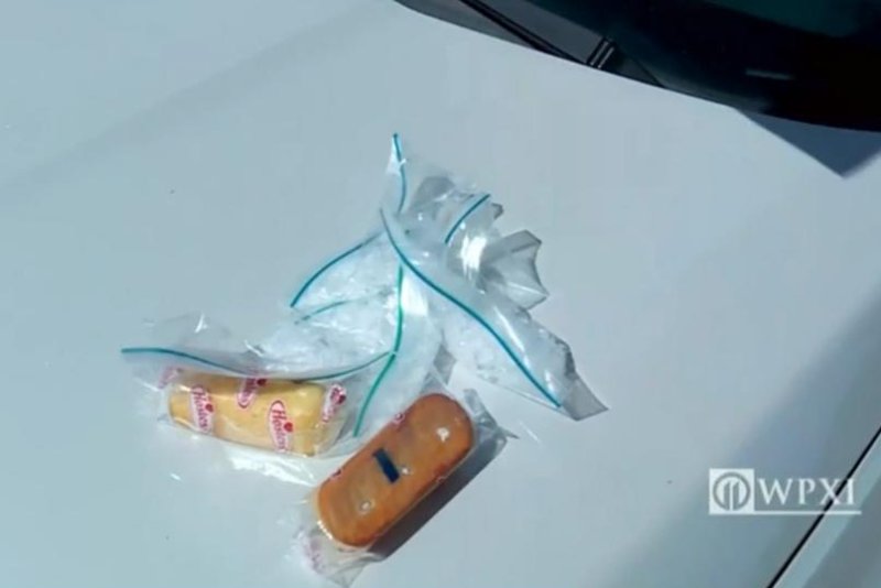 Oklahoma police dog finds meth in box of Twinkies
