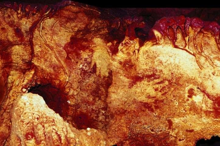 Neanderthals made first cave paintings 20,000 years before modern humans