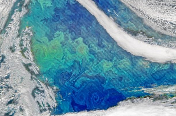 A color-enhanced image captured using VIIRS data from the Suomi National Polar-orbiting Partnership satellite reveals a phytoplankton bloom, the green portions, in the North Atlantic. Photo by NASA/Norman Kuring