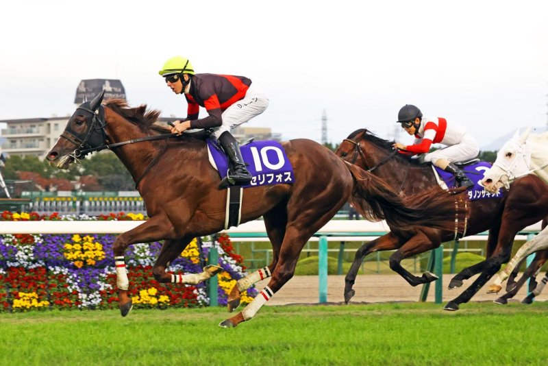 Serifos, shown winning the 2022 Mile Championship in Japan, bids for a repeat victory Sunday at Kyoto Racecourse. Photo courtesy of Japan Racing Association