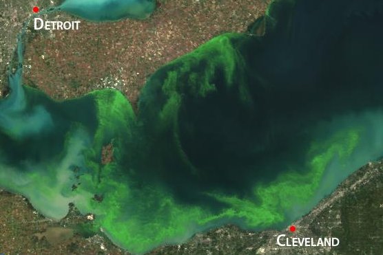 Scientists say farming practices, climate change to blame for toxic Toledo water
