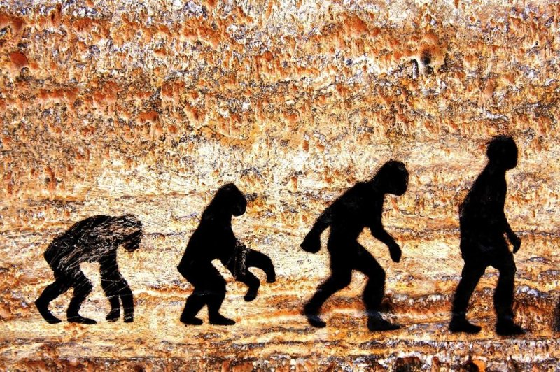 Study: Evolution may be smarter than previously thought
