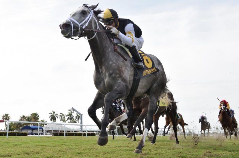 Laudia Sion wins in Japan, Halladay in Florida, as horse racing slowly returns