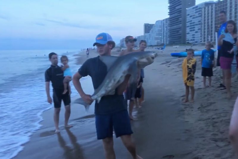 Watch Man releases shark after posing for photos in Ocean