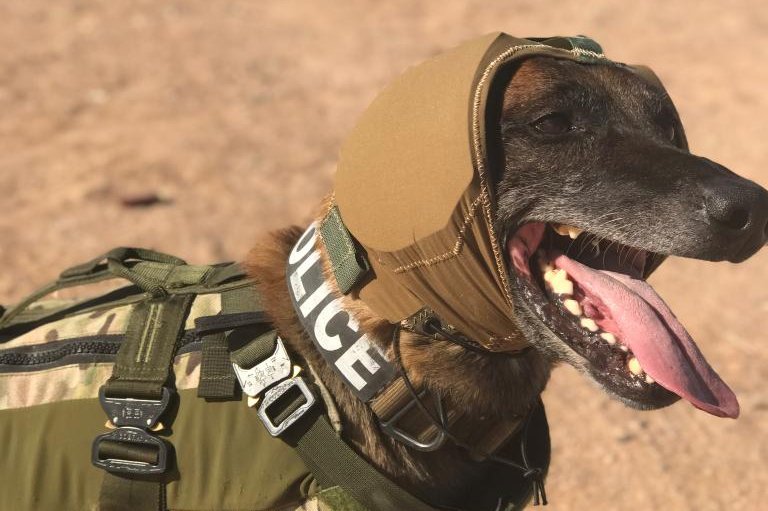 Army develops hearing protection for military working dogs
