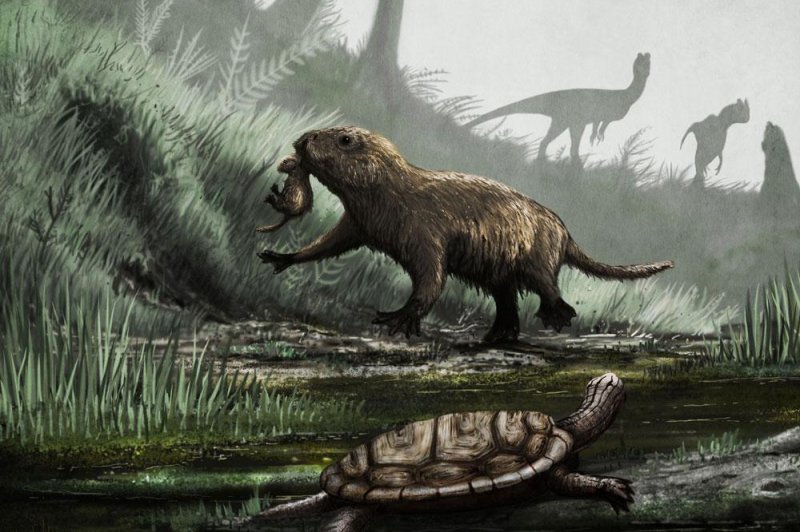 Mammals became more active during the day after the dinosaurs disappeared